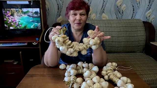Продаю излишки Ярового чеснока.. Мне всё даром достаётся...