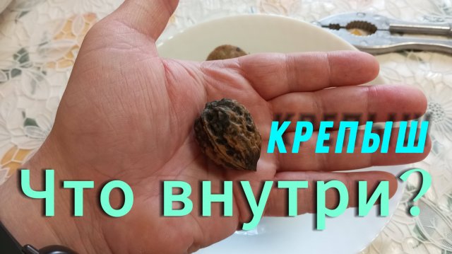 Маньчжурский орех на вкус