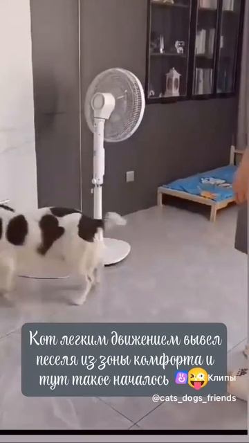A story about animals