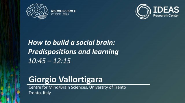 How to build a social brain: Predispositions and learning