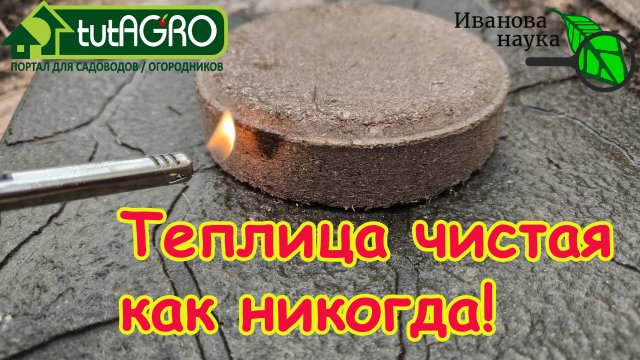 ДЕЗИНФЕКЦИЯ ТЕПЛИЦЫ: этот метод будет в 100 раз эффективнее, если сделаете как я.