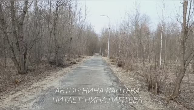 Рассказ СТАРАЯ ФОТОГРАФИЯ