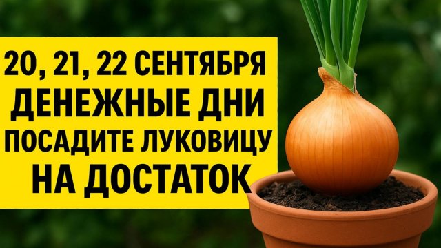Посадите луковицу 20, 21 или 22 сентября - и деньги начнут приходить неожиданно