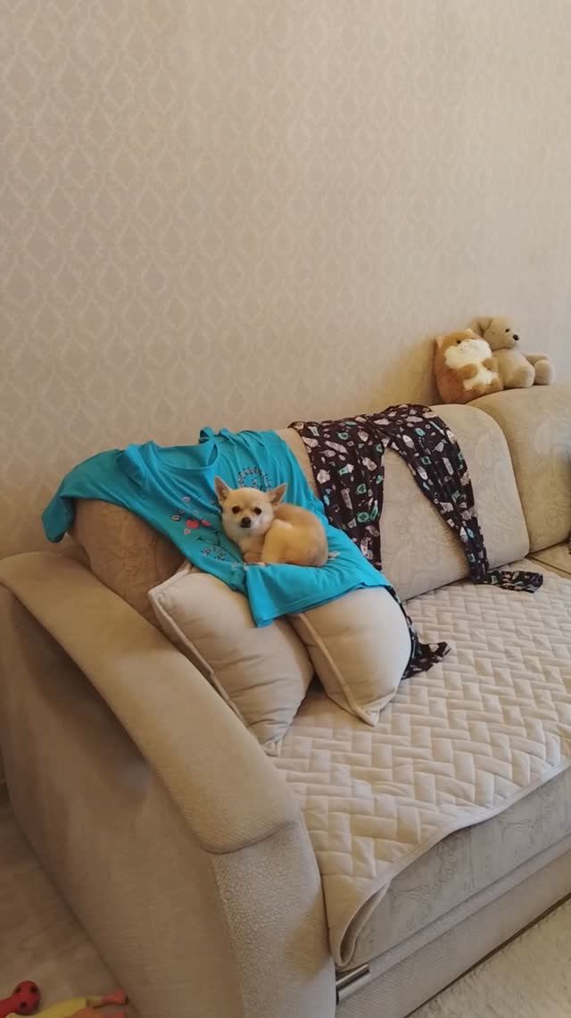 Сонюня 🥰