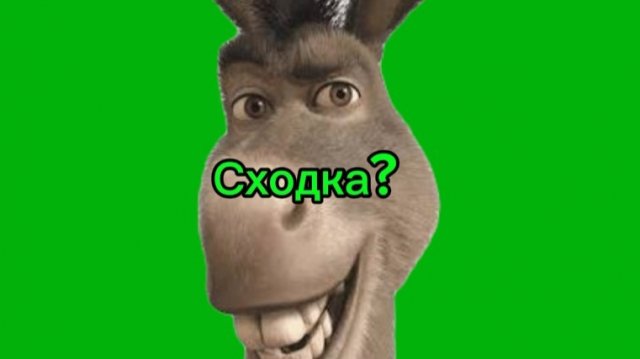 КАК ПРОШЛА СХОДКА? ВИДЕО И АРТЫ!