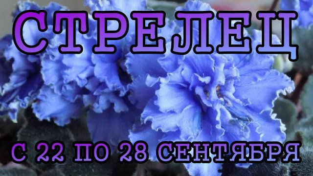 СТРЕЛЕЦ таро прогноз на неделю с 22 по 28 СЕНТЯБРЯ 2025 года.