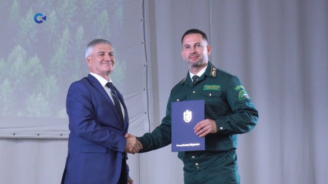 Работников леса Карелии поздравили с профессиональным праздником