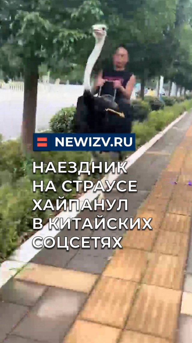 Наездник на страусе хайпанул в китайских соцсетях