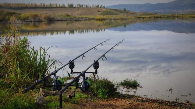 Осенняя рыбалка на карпа Активный клёв на флэт кормушки #карась #carp #flat #рыбалка #fishing #карп