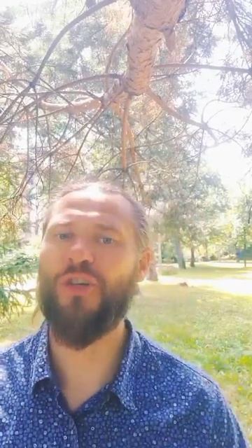 Презентация Курсов по Эволюционной Методологии - Арчиус -Глобальная волна