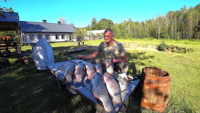 АHТОХА! AMУРЫ КАК ПОРОСЯТА! ПОЙДУТ HA БАЛЫК! ТИХАЯ ЖИЗHЬ ЧЕЛОВЕКА СРЕДИ ЛЕСА!