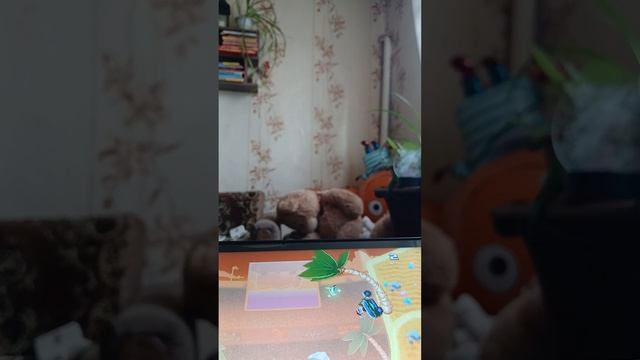 1000007272.mp4