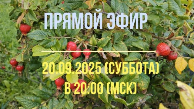 Анонс эфира 20.09.2025