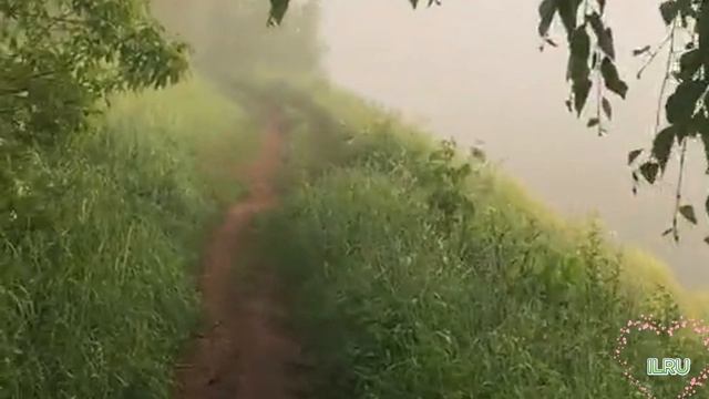 Истории из жизни "В поисках своего принца " Жизненные истории / Читаем рассказы
