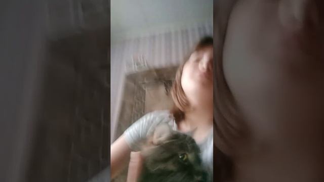 как вам образ