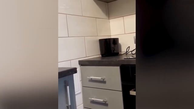 Смешные животные, часть 38