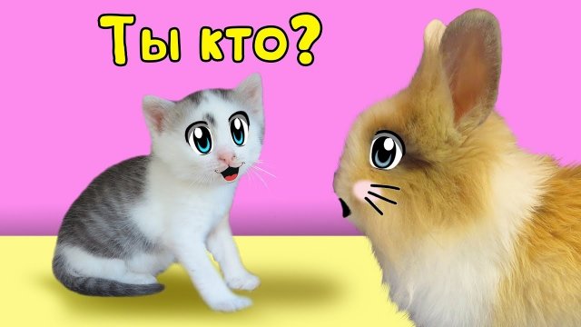 КРОЛИК БАФФИ И КОТЕНОК МУРКА! ЗНАКОМСТВО! [2018]