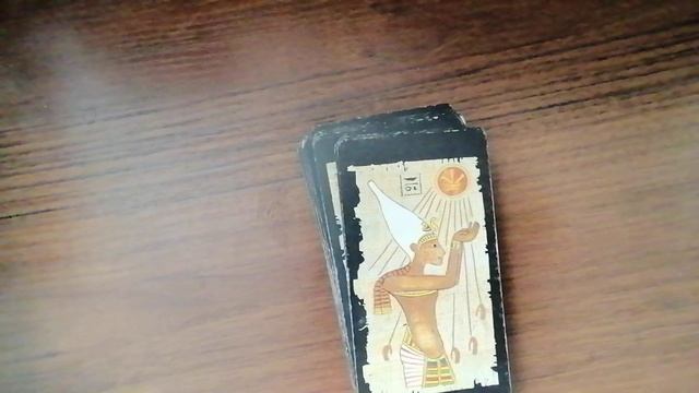 VID_20250920_134141