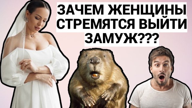 ЗАЧЕМ ЖЕНЩИНЫ РВУТСЯ ВЫЙТИ ЗАМУЖ ??? / ШКОЛА ПИКАПА