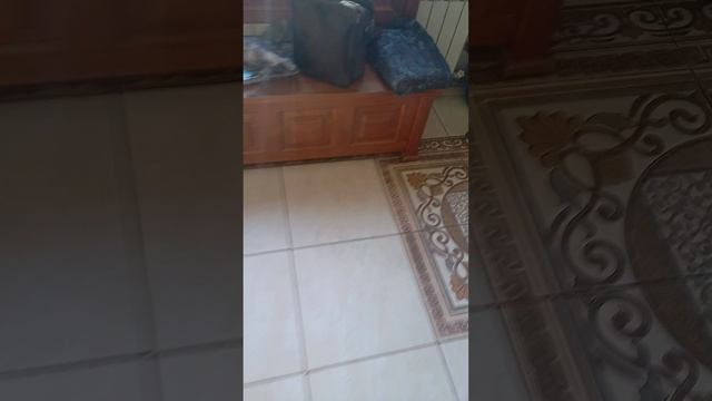 за здравие леонида эдуардовича слуцкого и виктору буту с ульяновска депутат лдпр
