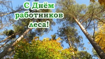 С днём работников леса. Музыкальная открытка поздравление.
