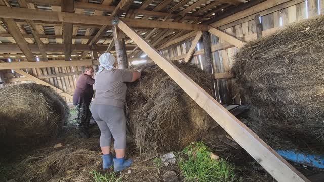 А мы продолжаем работать,катаем сено