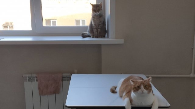 Кухня