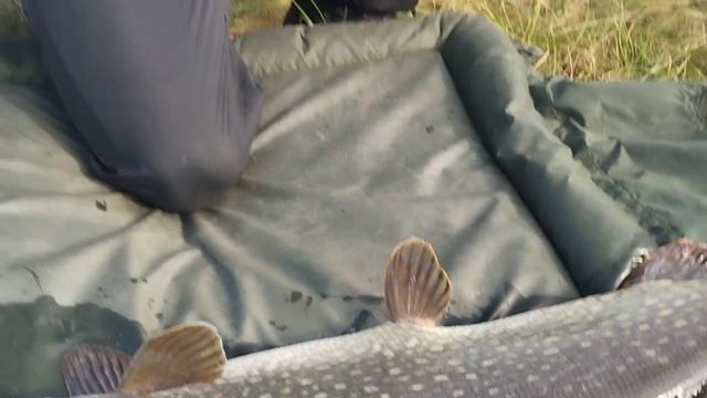 1000035580.mp4