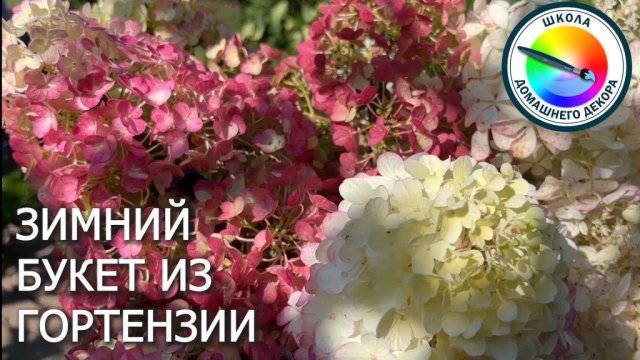 Как сделать зимний букет из гортенщии