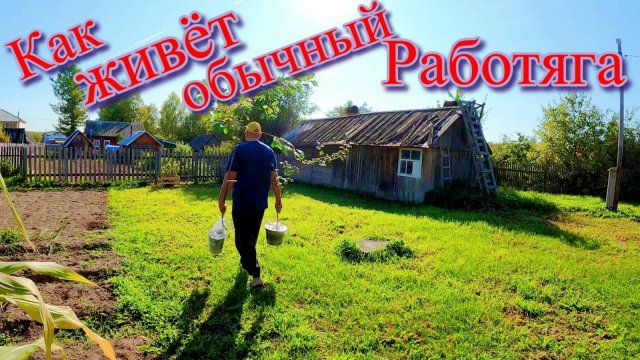 Как живет обычный РАБОТЯГА# Дверные доборы# Посадка ГРУШ и АЛЫЧИ на СЕВЕРЕ # Сцепление на МОПЕДЕ