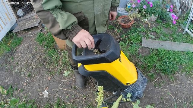 Из сорняка получилось лакомство для животных.