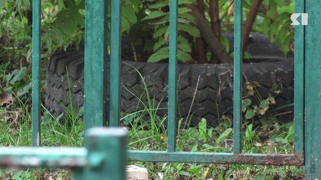 Штрафы за покрышки во дворах Ярославля могут временно отменить