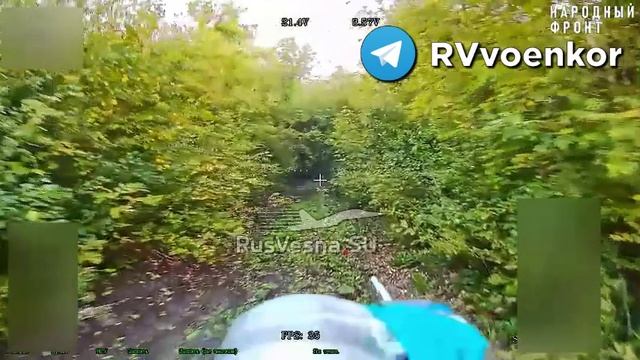 🇷🇺🤝🇺🇦Украинец гулял с собакой и встретился с дроном русского спецназа в Сумской области 😀