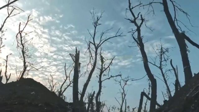 Нацисты и русская граната или Злива дэ?????