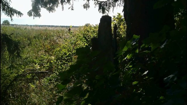 Похождения на коп - часть 1