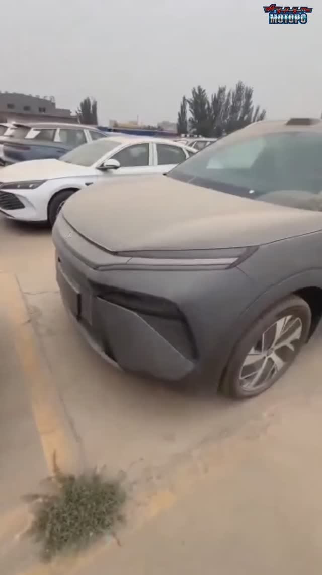 BYD Tang L -  для Клиента