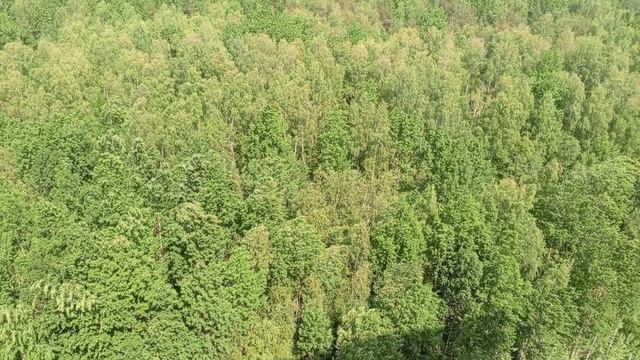 VID_20250613_140229