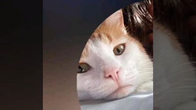 forever.and.forever.mp4
