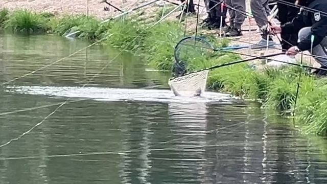 Поимки на основном водоеме
