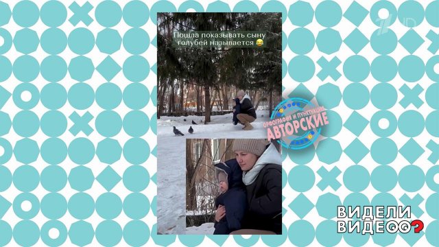 Как правильно показать ребенку голубей. Видели видео? Фрагмент выпуска от 21.09.2025