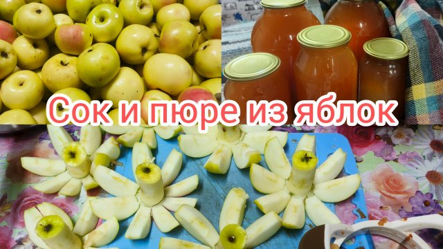 Переработка яблок началась.