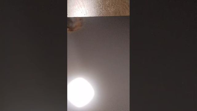 Приколы