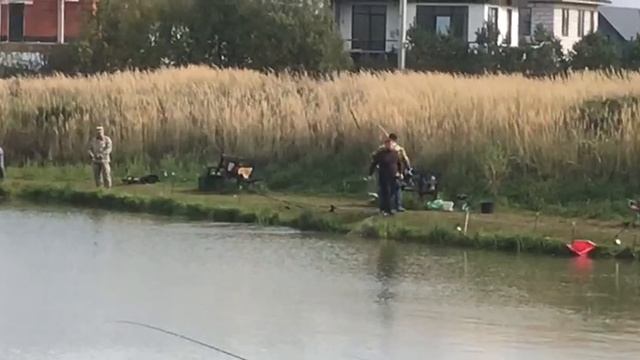 ещё одна форель в зачёте