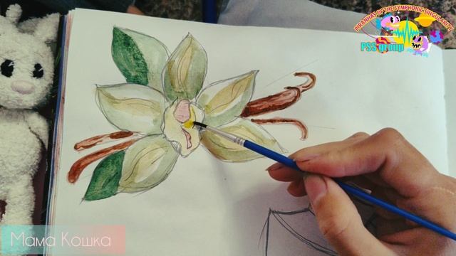 мастер-класс по рисованию.
как нарисовать цветок ванили акварелью.