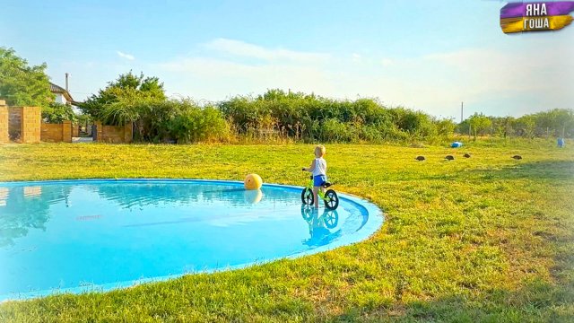 Цыплята цесарки пропали. Зато есть индюшата! Будут ли козлята? Жизнь в селе. Разговоры обо всем.