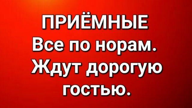 Приёмные/Обзор.