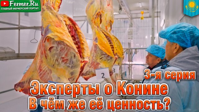 Конина. Желтый жир не страшен! Диетическое мясо №1. Польза для здоровья и традиции Казахстана