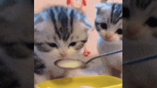 1000000898.mp4