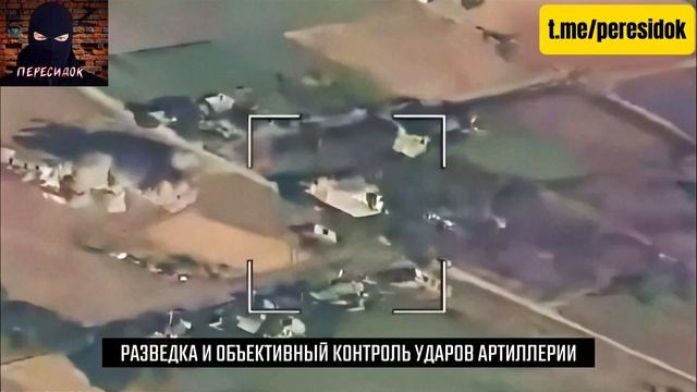 Как я провёл лето с Ланцетом
