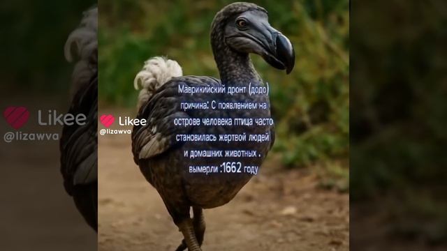 новая рубрика